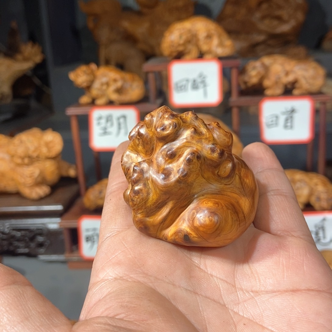 柏木（崖柏）告****来木雕手工把件太行崖柏瘤疤料