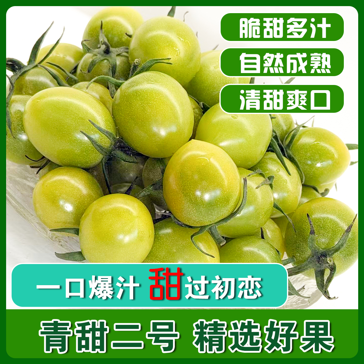山东寿光青甜二号绿色小番茄新鲜现摘多汁酸甜圣女果