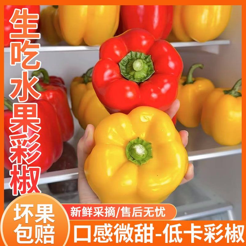 山东灯笼椒生吃水果彩椒新鲜不辣甜椒好吃辣椒皮薄肉厚三色辣椒