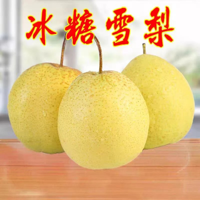 赵州赵县雪花梨绿色食品百年古树河北特产雪新鲜水果多汁