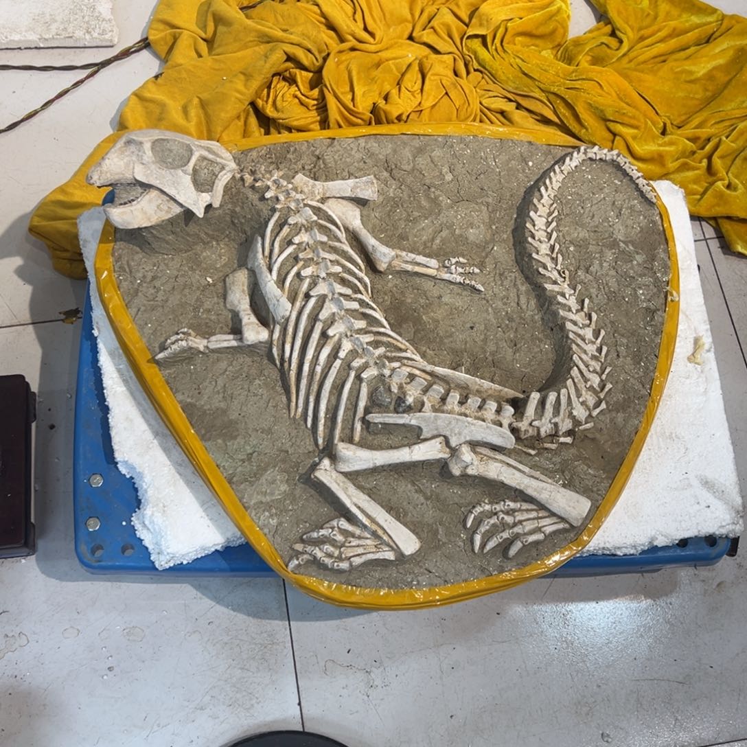 高****完全开放精品摆件家居摆件