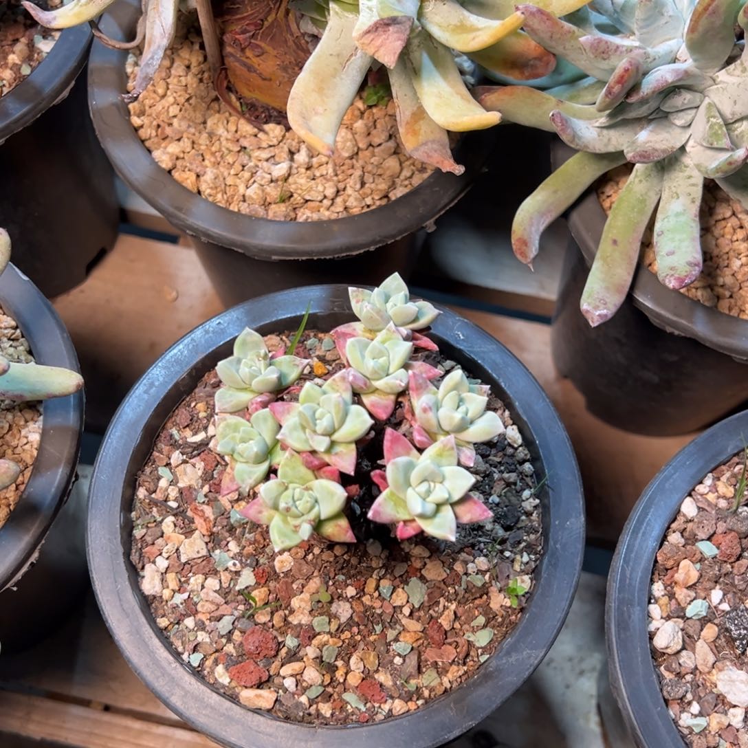 8586哈哈哈哈哈哈哈