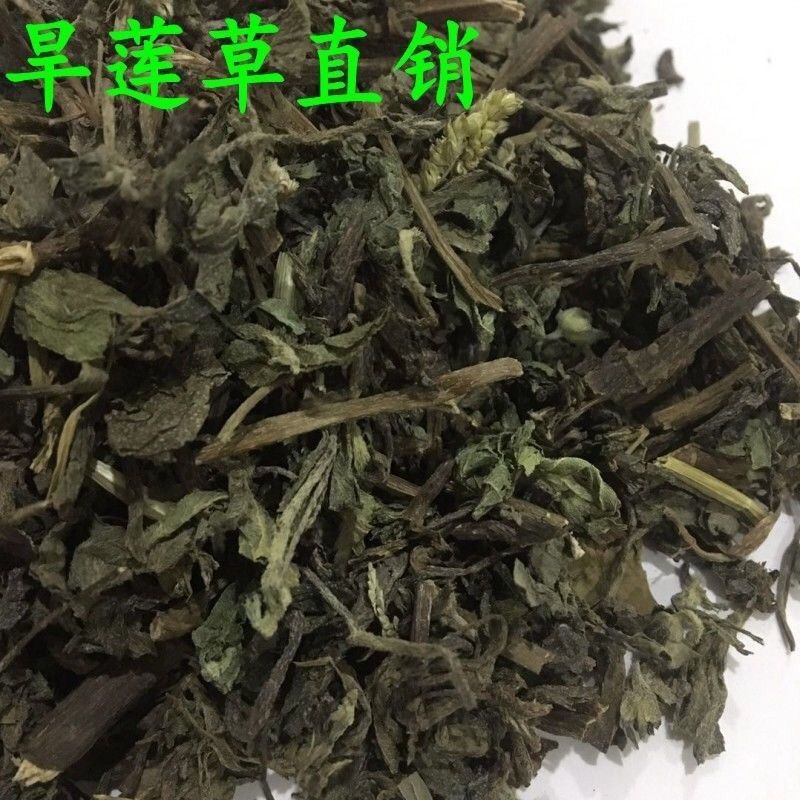 野生墨旱莲阴干旱莲草洗头乌发洗发水材料