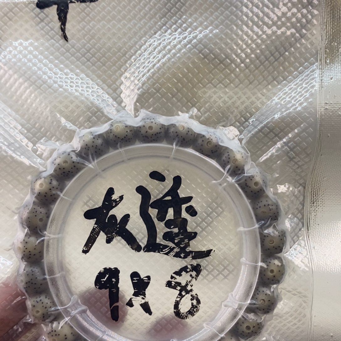 4   海南石玉料灰透9*8