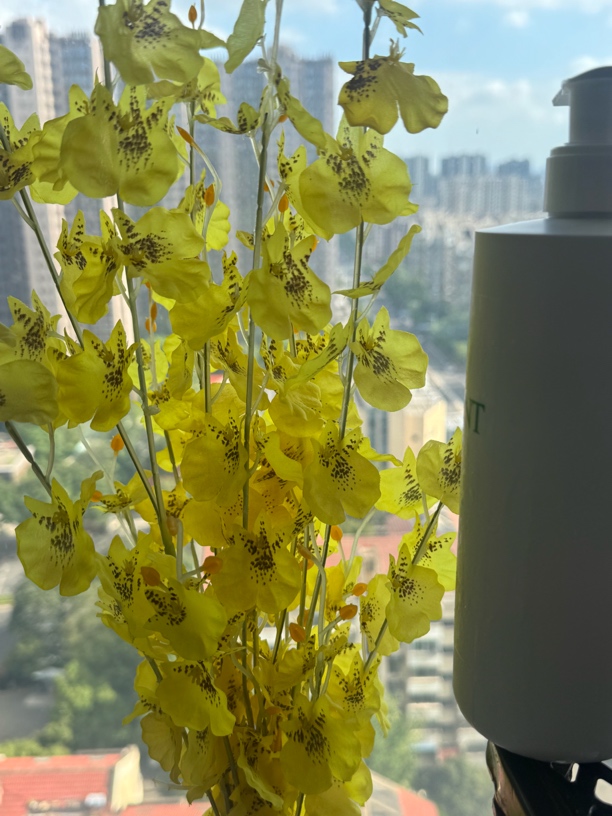 Y院线F家好用舒缓生命爽肤水刷子