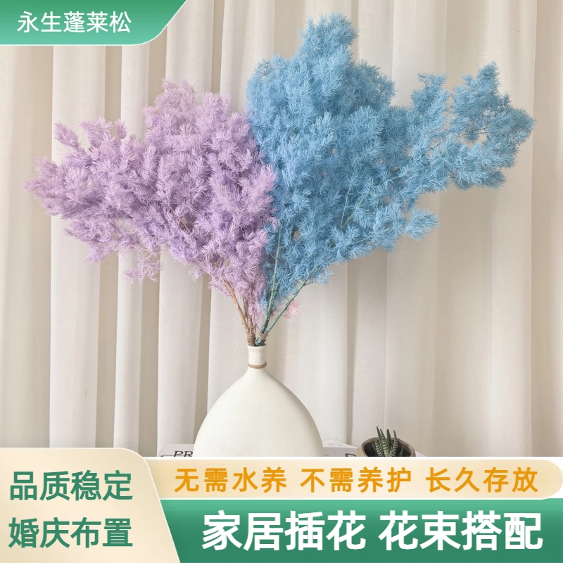 永生蓬莱松高级感永生花diy材料家居装饰家居摆件ins流星雨烟花束