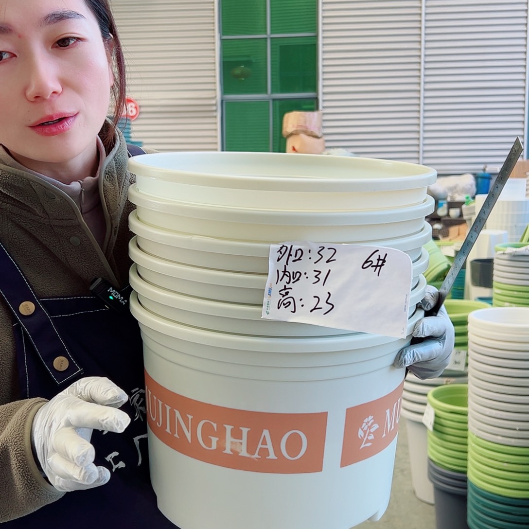 瑕疵矮胖6#米白6个无托