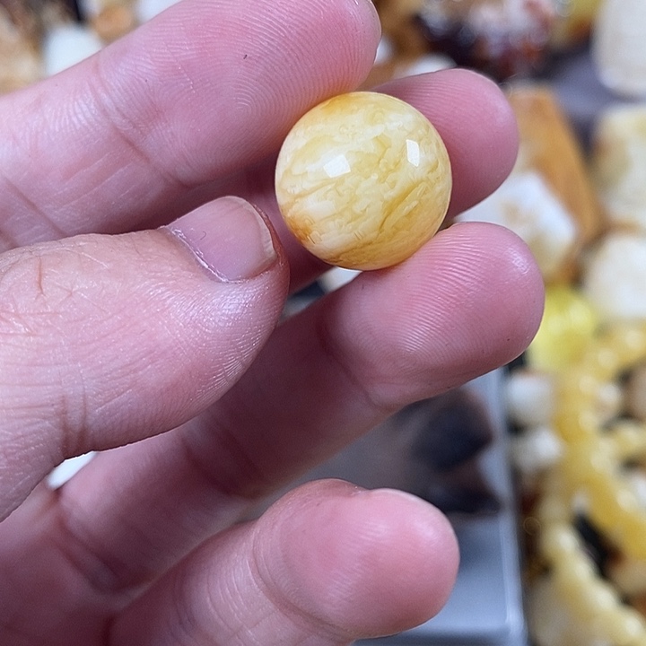 琥珀未镶嵌裸石亲