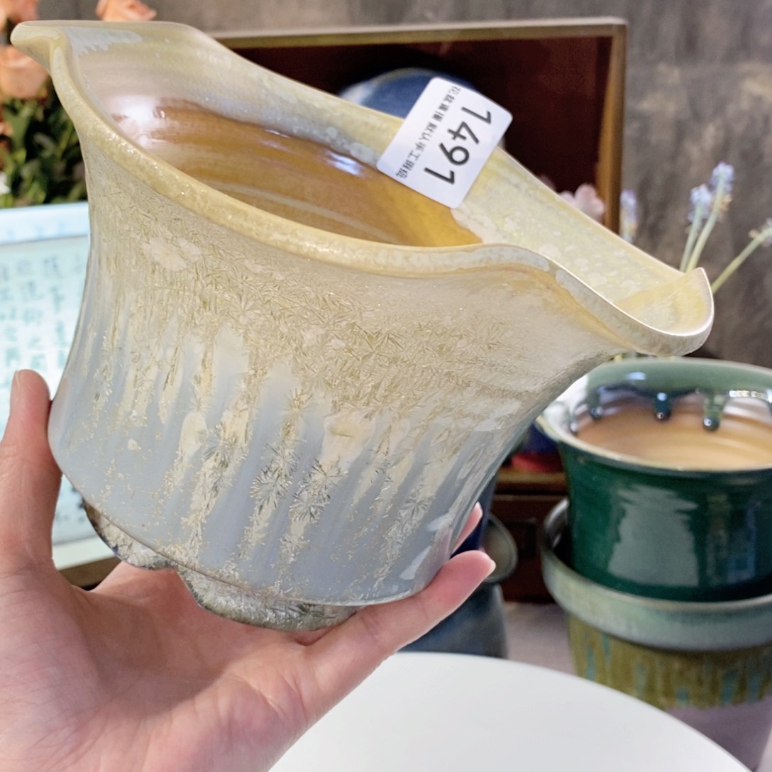 花盆花盆花盆花盆