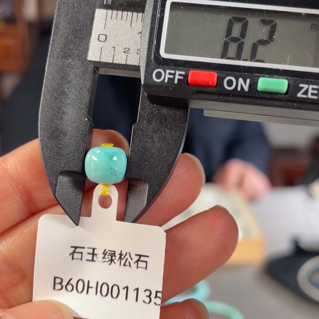 绿松石颈饰未镶嵌