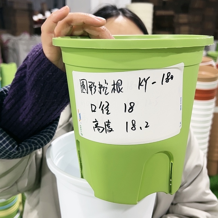 正品圆控口18高18果绿色带托8