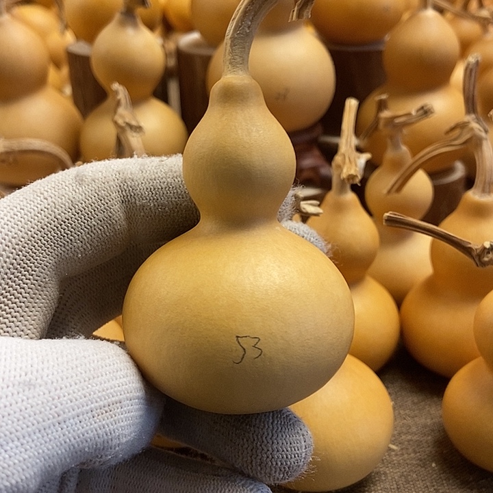 文玩葫芦 完美主义者 慎拍53