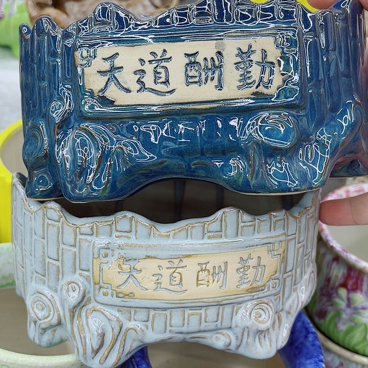 多肉植物陶瓷花盆