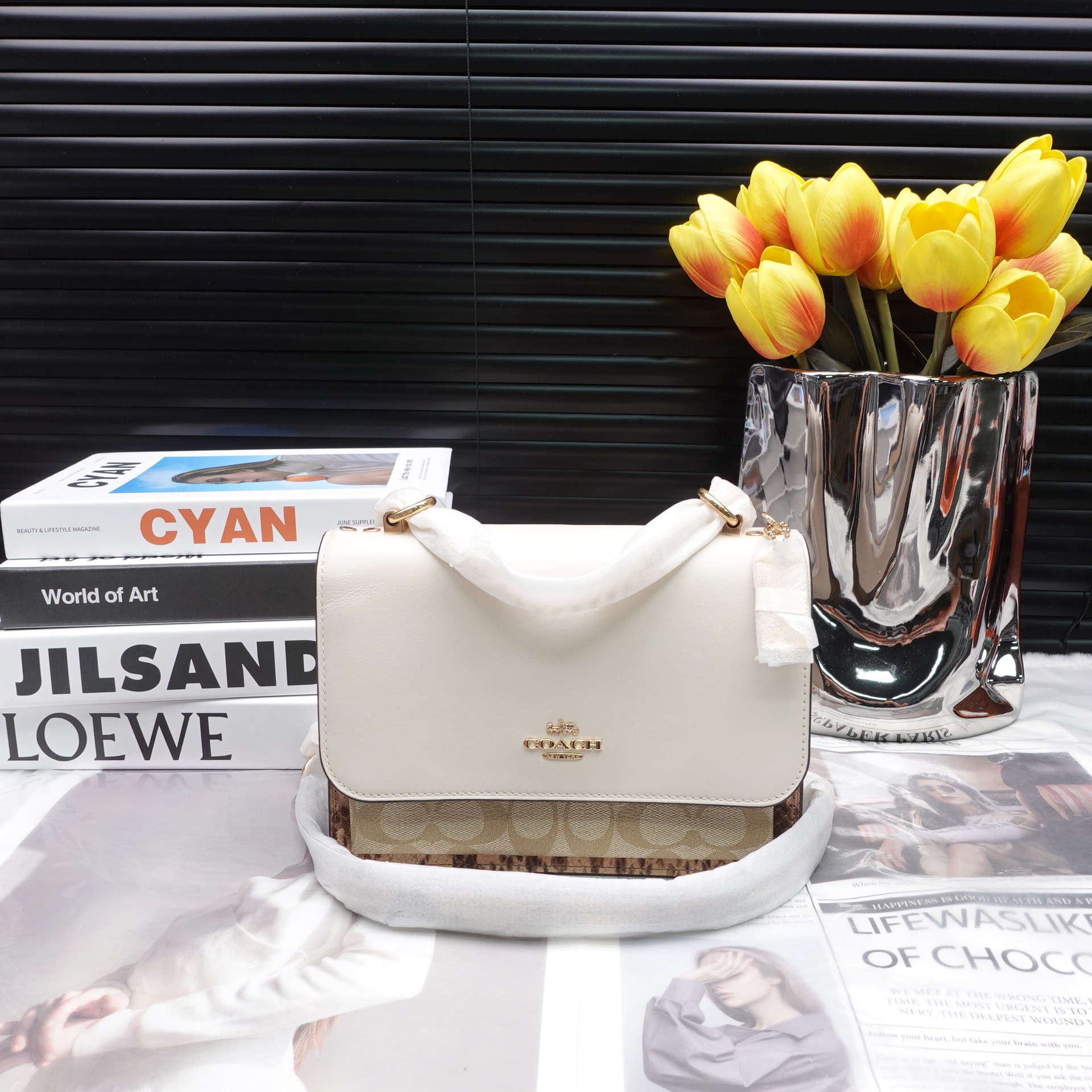 95新 COACH/蔻驰 单肩包/T10231092