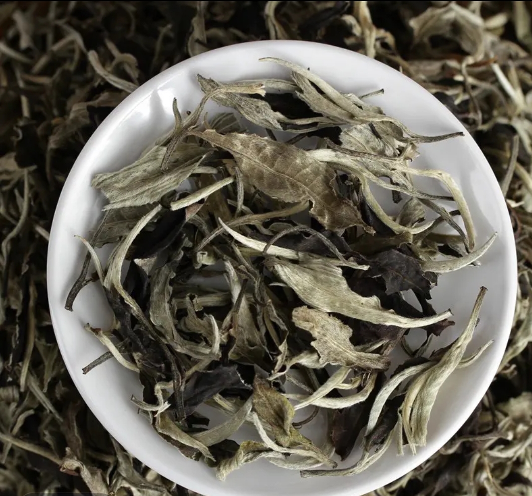 云南普洱 景谷老白茶散料 核心产区 生普