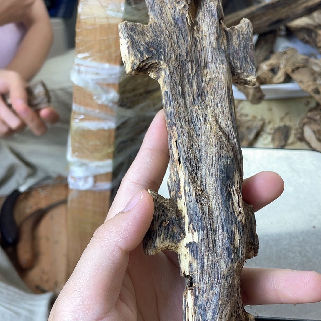 木午***局绿奇楠原材料虫漏摆件