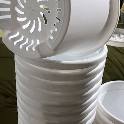 树脂四季3号纯白无托10个