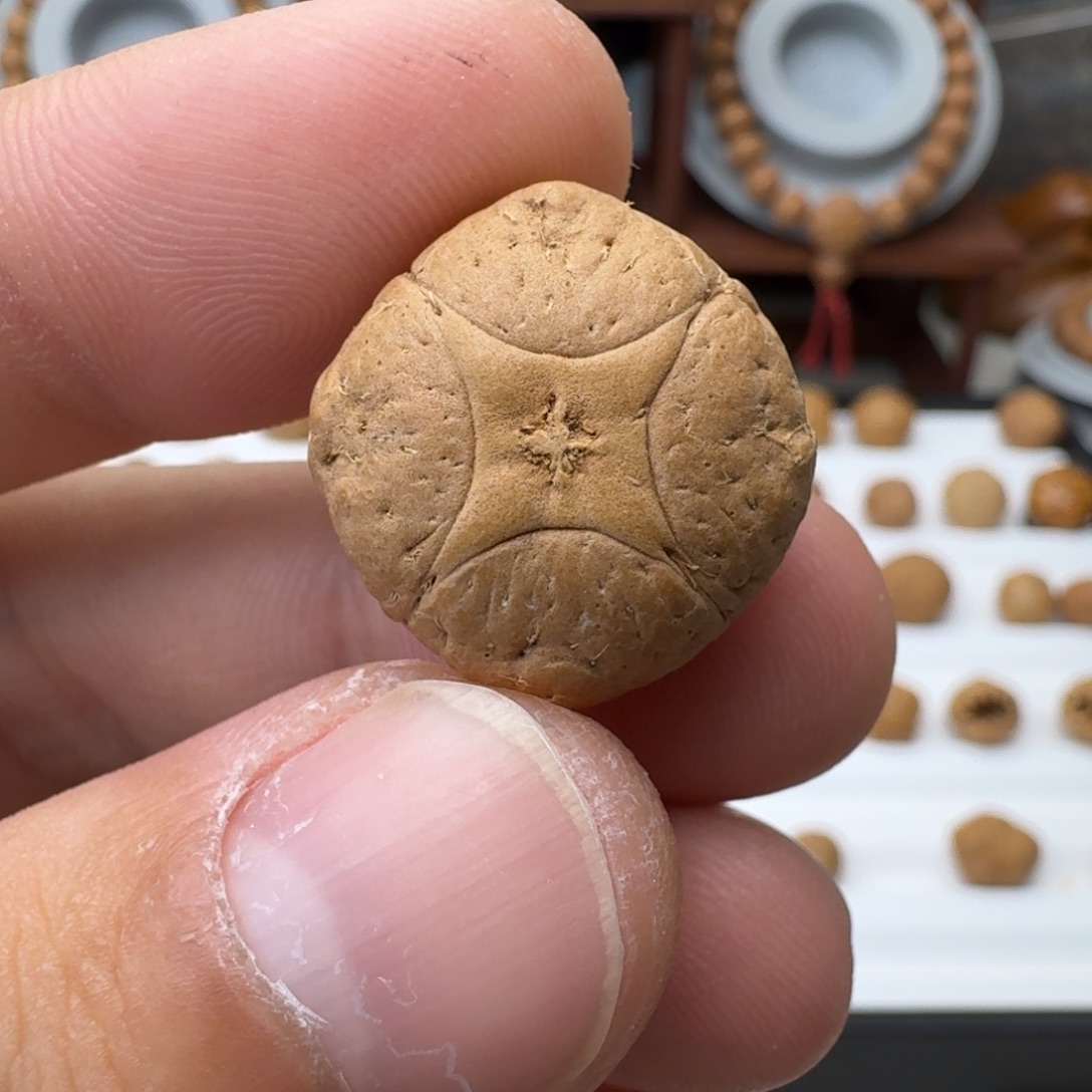 麒麟眼菩提吊坠尼泊尔二茬恶魔麒麟眼 22+