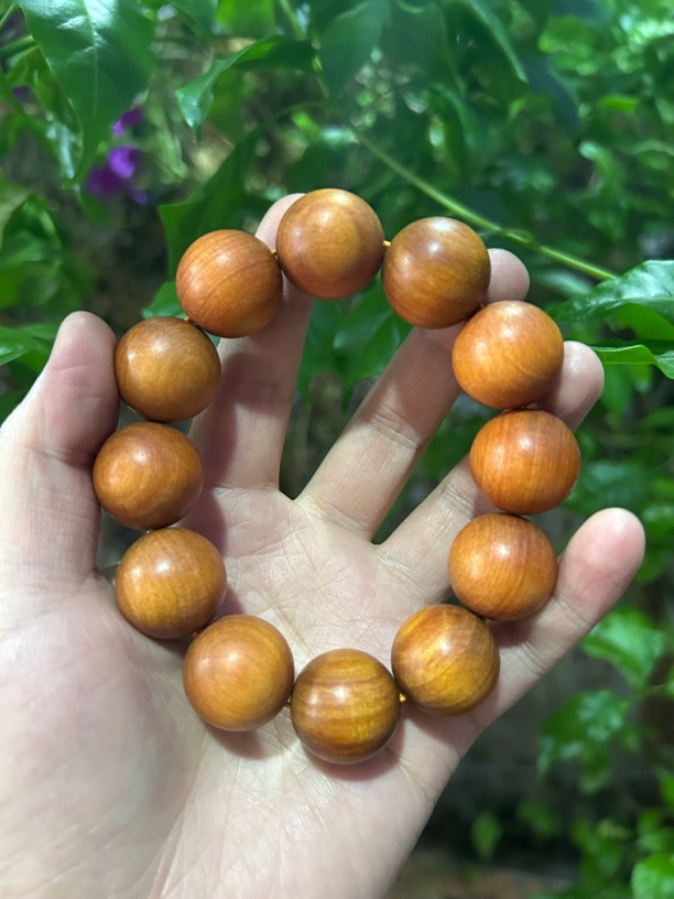 【土特产菇509】净含量46g