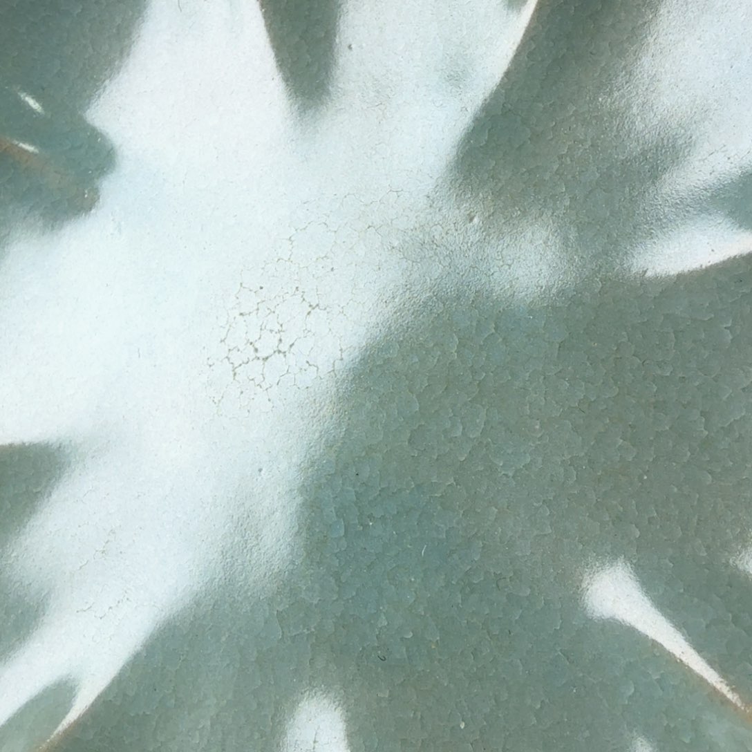 碟用****5据教练邻居邻居邻居