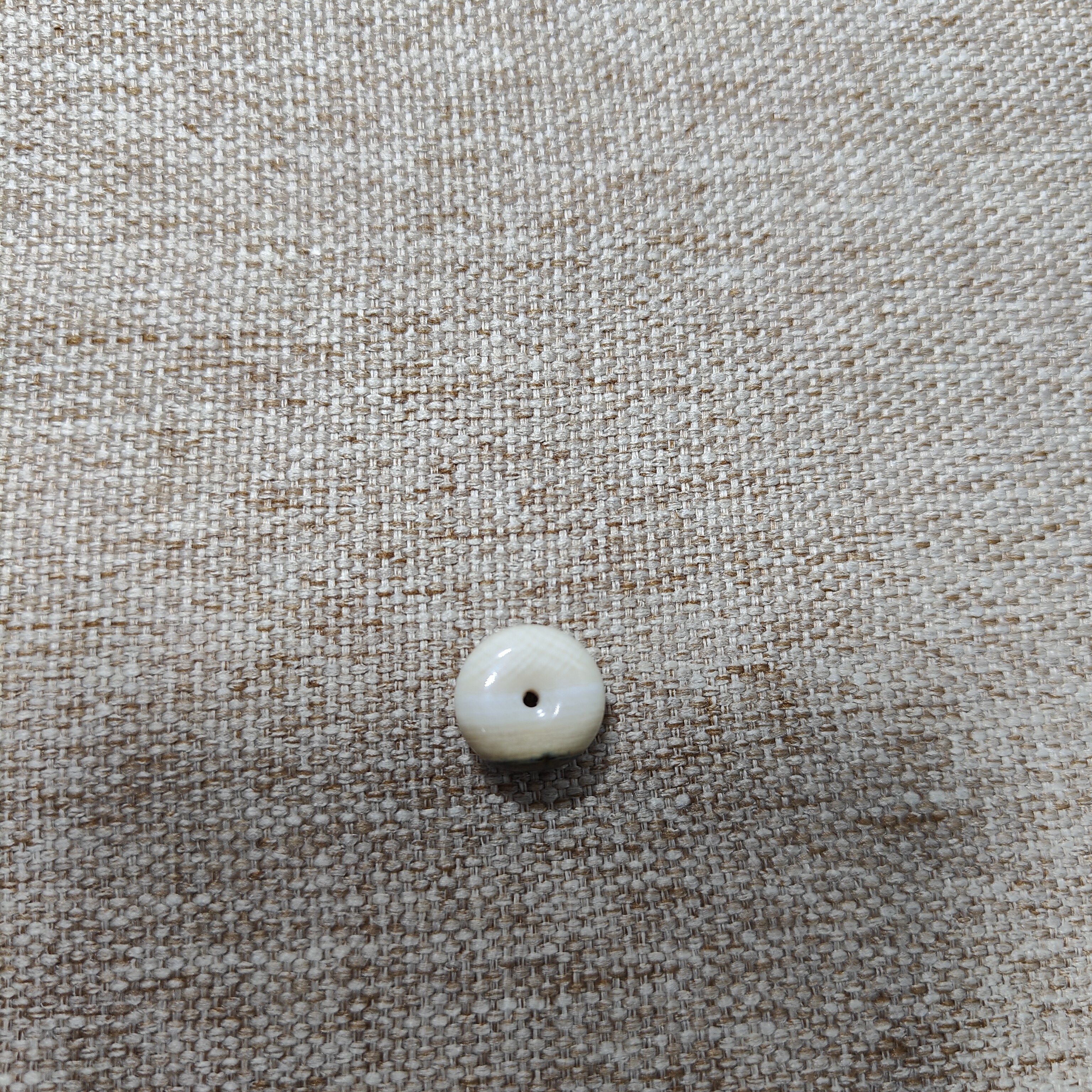 猛犸牙蓝皮扣子一个  支持复检