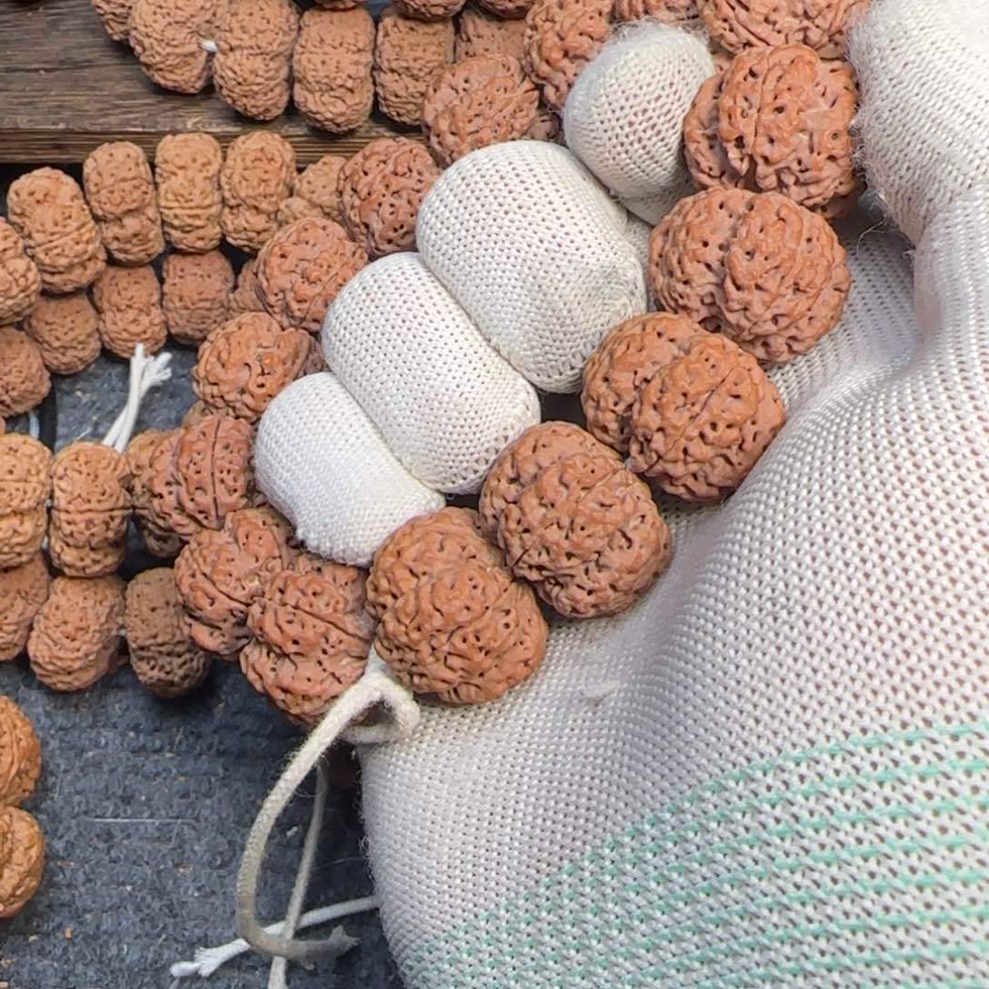 菩提金刚菩提24梅花梁