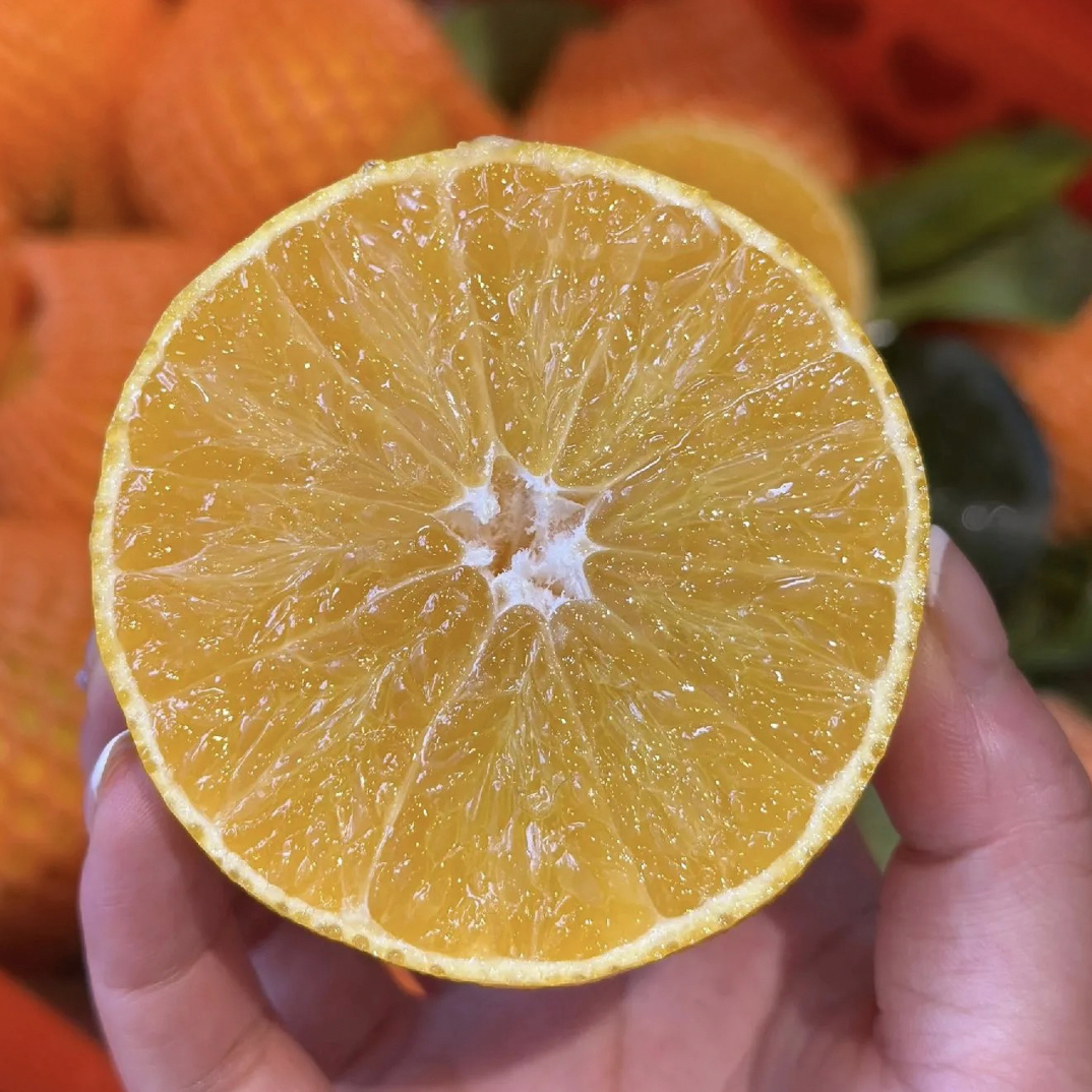 南丰特色红美人10斤装