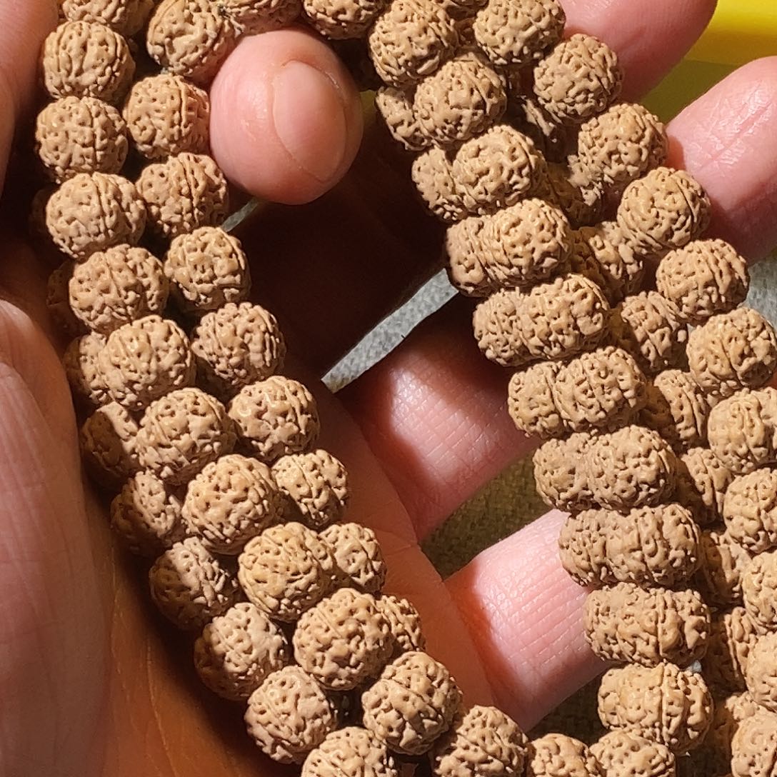 吊坠金刚菩提老树花王10mm108