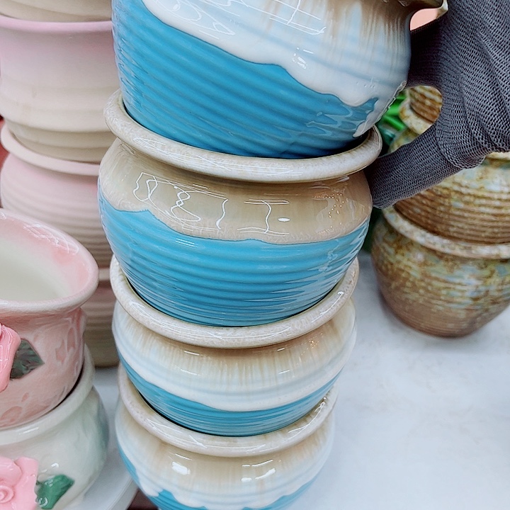 多肉植物陶瓷花盆