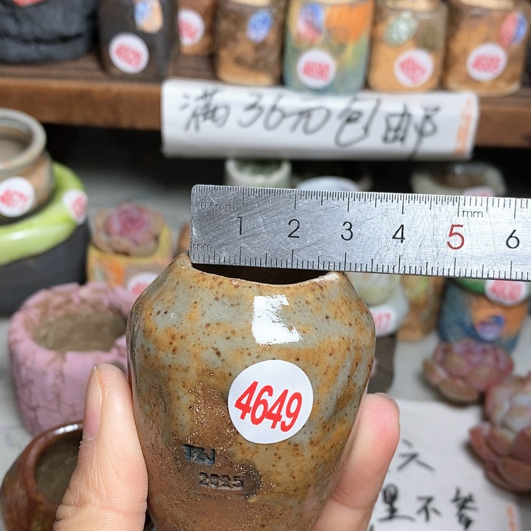 红陶拍5送一个小