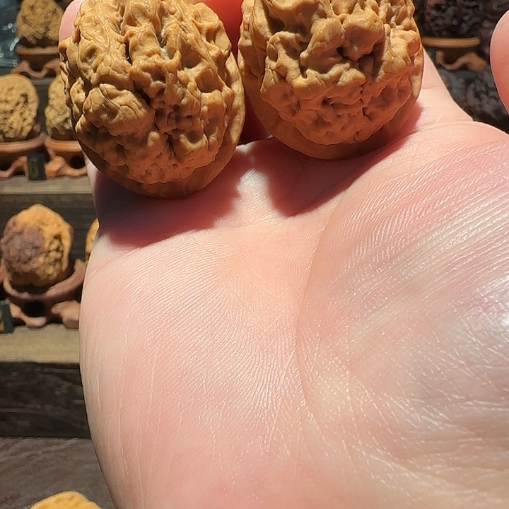 核桃幽冥疙瘩包41尺