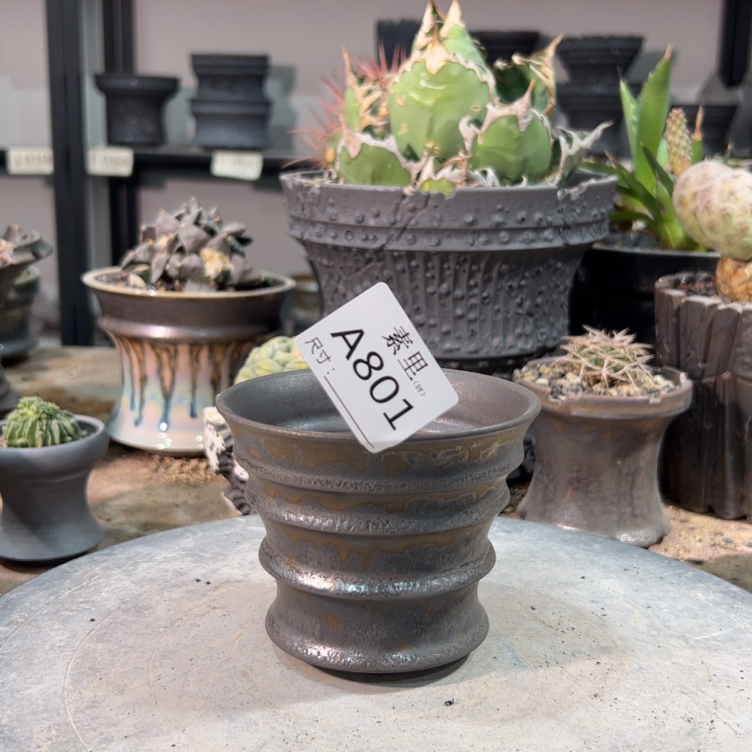 景德镇手工素里内口10高8.5