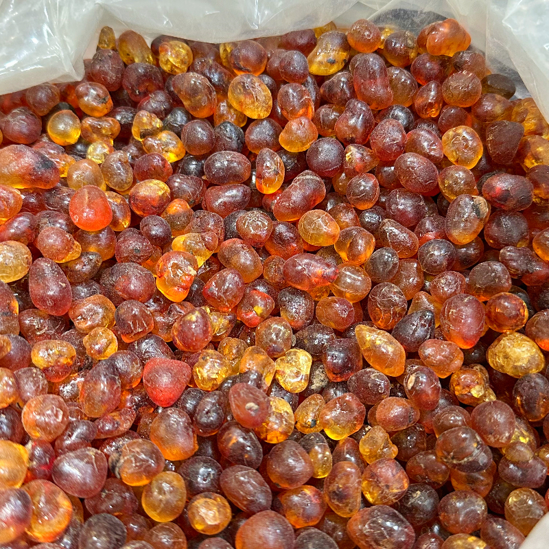 【小凤滋补】精选古树桃胶果冻般口感煮甜品糖水搭雪燕皂角米