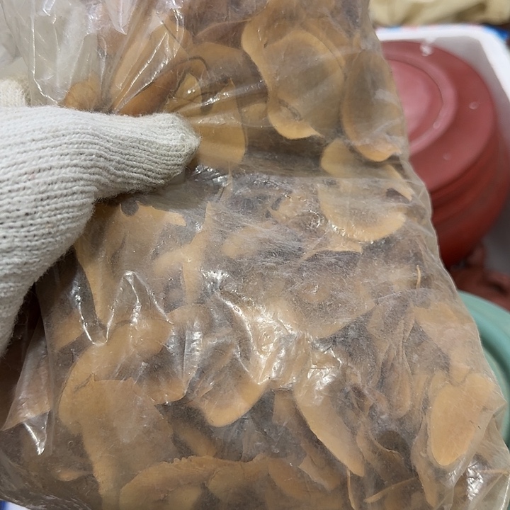 用***6扇子把h个哈哈哈哈哈哈哈哈宝宝不好