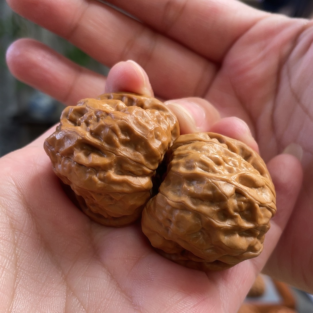 桃核把件37×39尺怀柔红皮蛤蟆头CN01018已打底