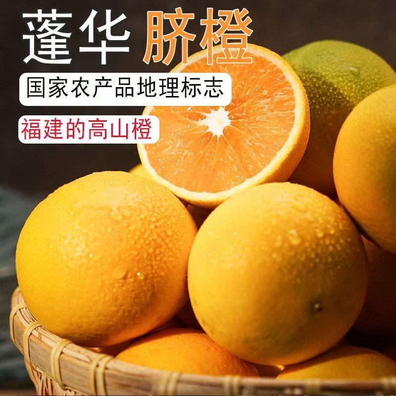 正宗福建蓬华现摘橙子