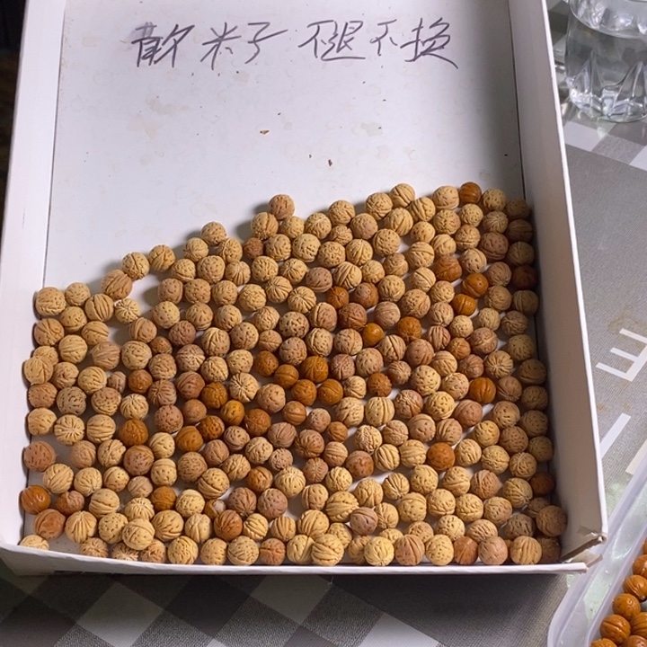 ****颜手串桃核纯野生桃核散籽