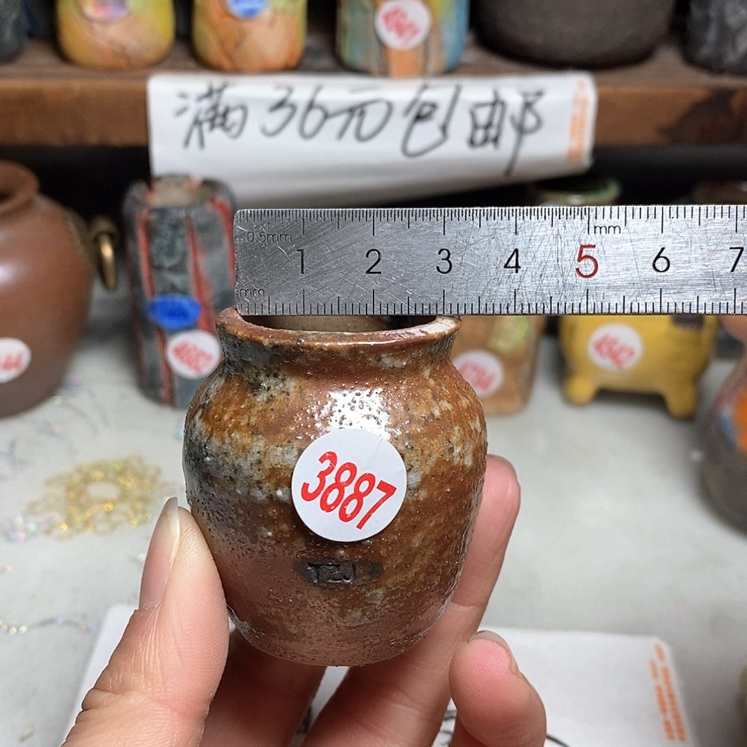 红陶拍5送一个小