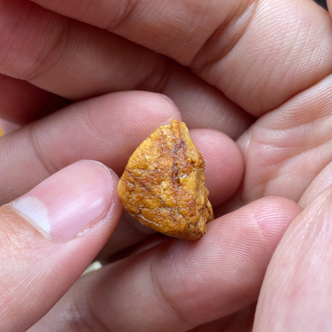 定制琥珀未镶嵌天然蜜蜡