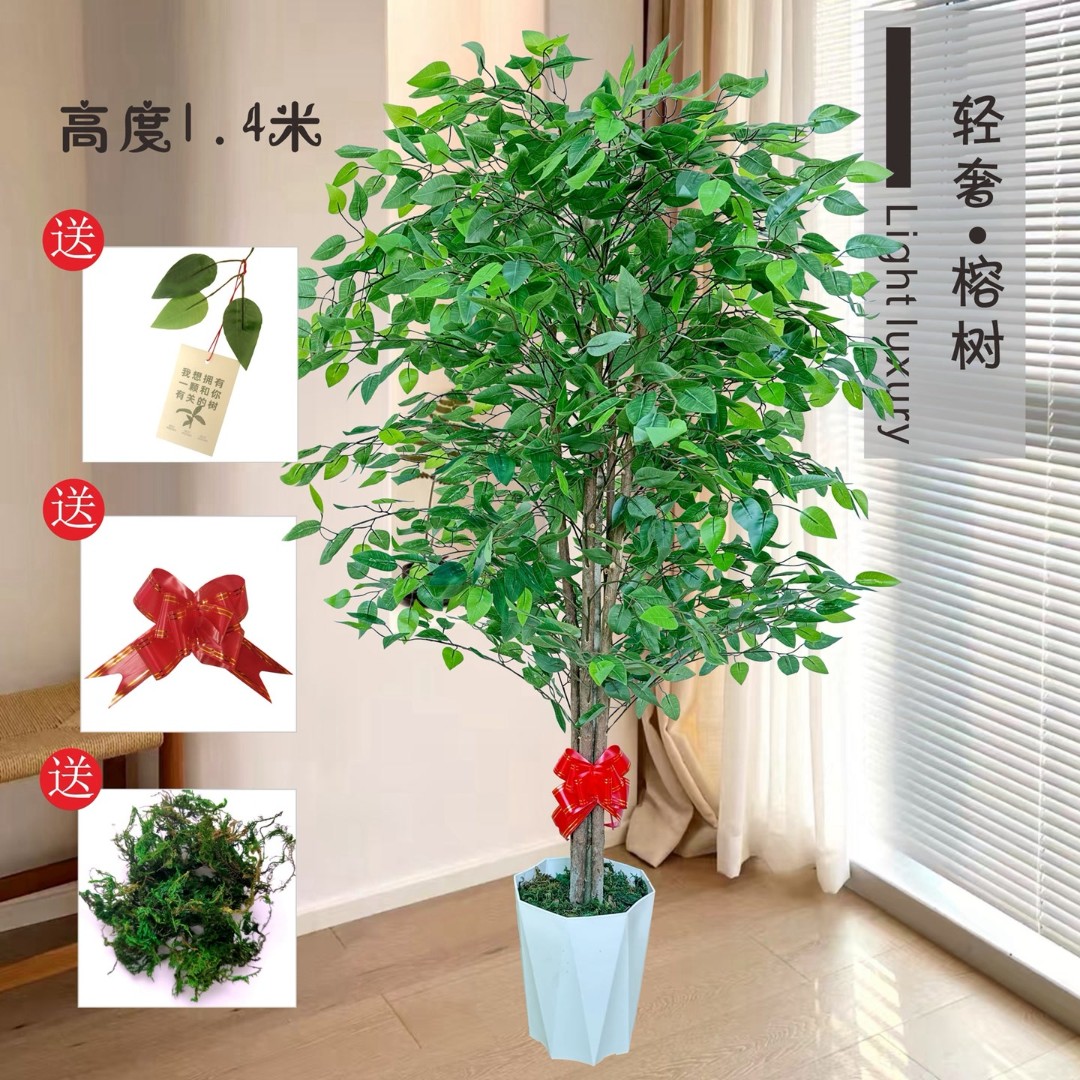 仿真大型真室内客厅软装绿植搭配绿色植物造景装饰送仿真草坪花卉