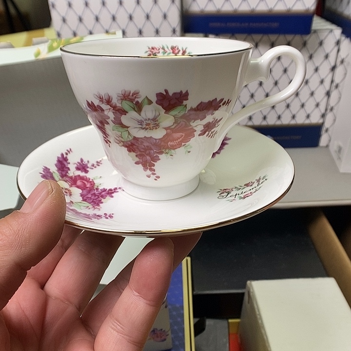 碟开播前两年才是