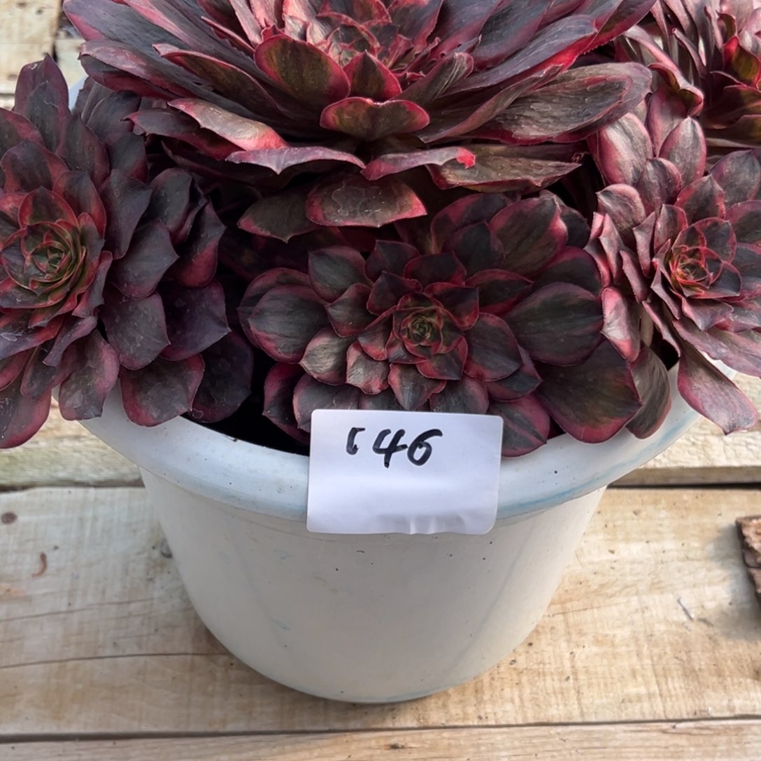 木***姐法师保温材料一个