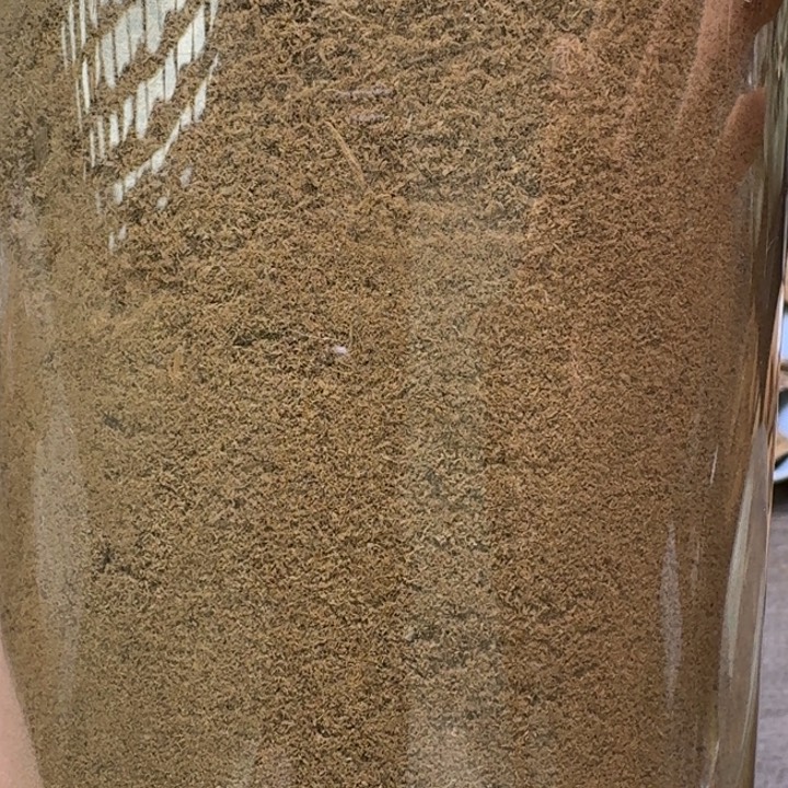 加里曼丹北部粉粉20