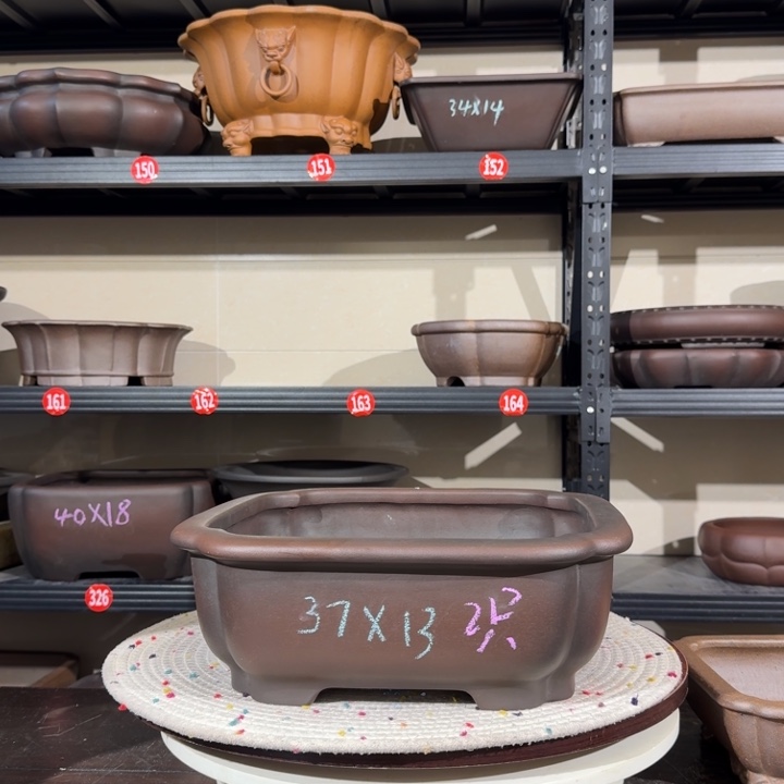 H***G紫砂花盆呜呜呜我的小