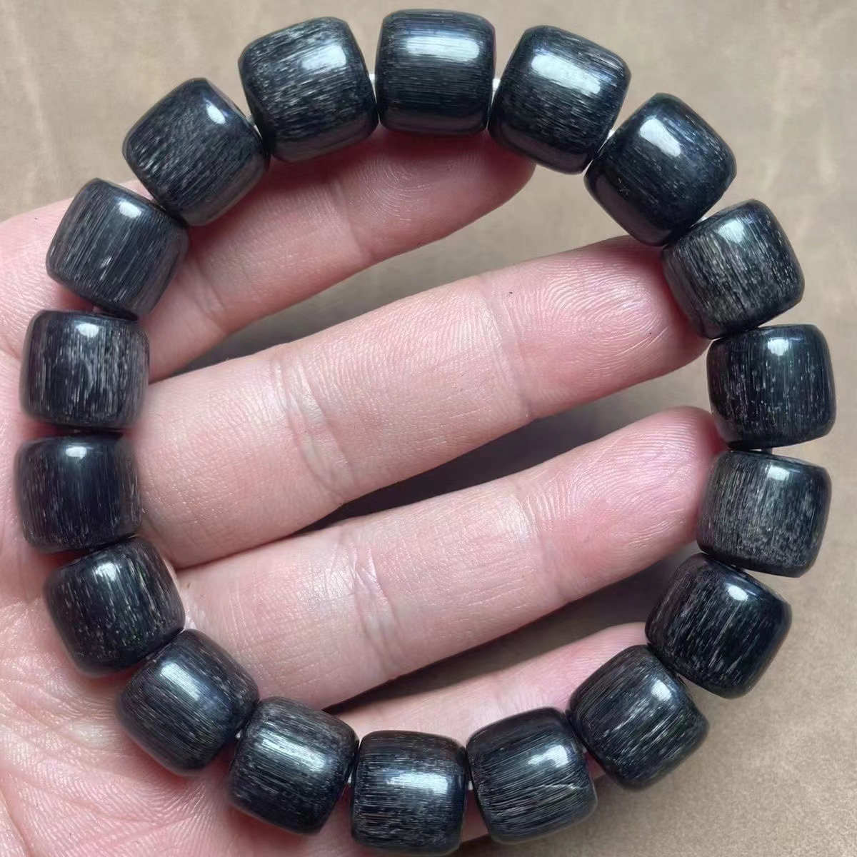 老亚陆地长角竹节1颗价