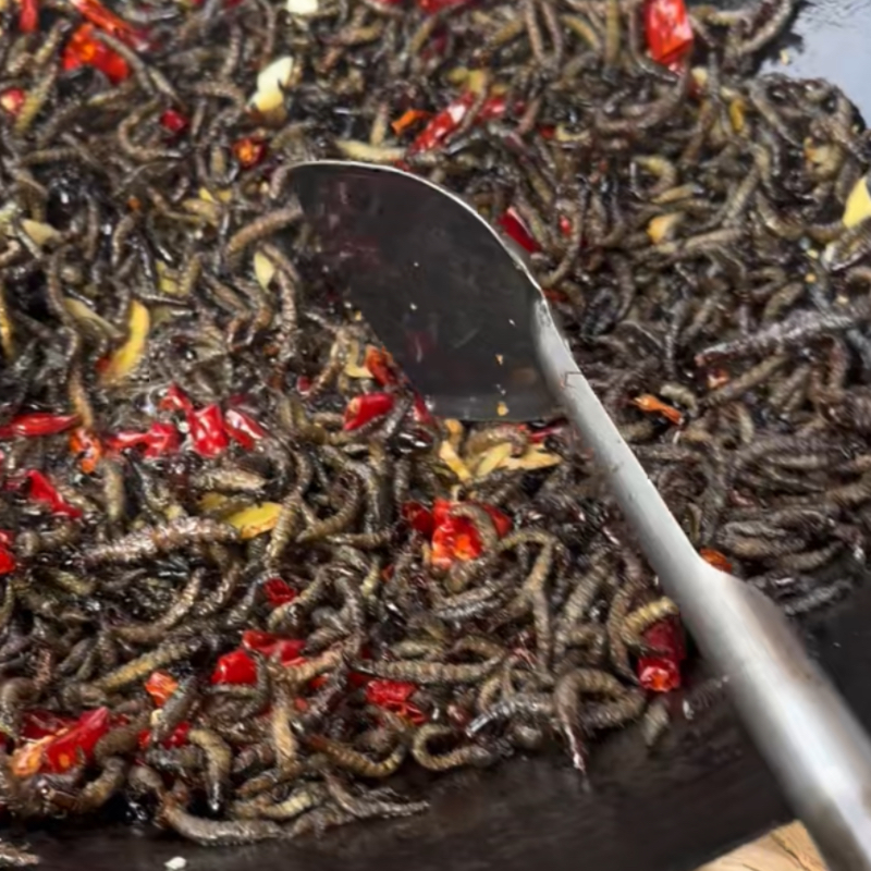 贵州野生吓巴虫冷藏发货