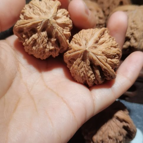 猴头核桃吊坠随**杨37三棱玉龙