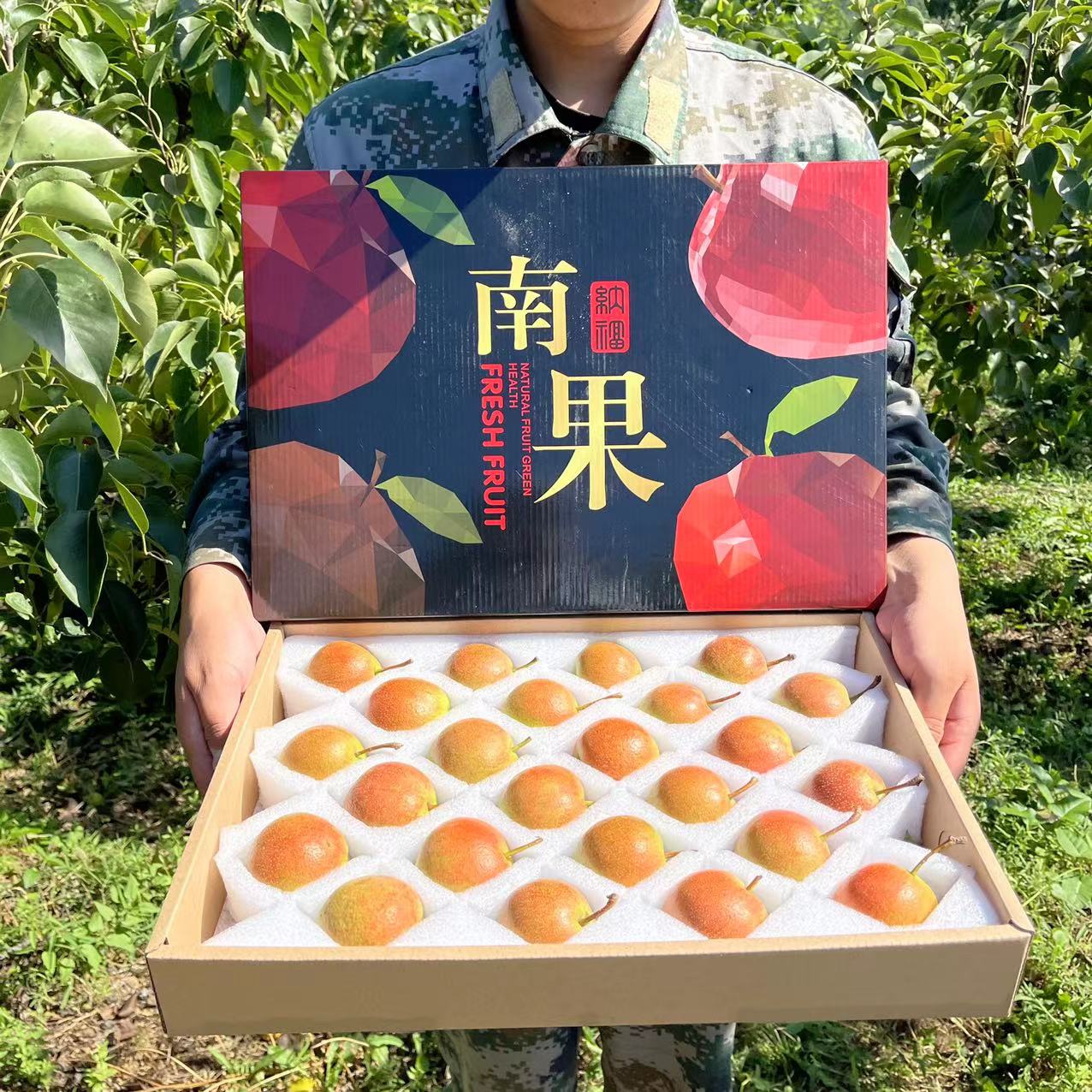 【大伟专属】老式南果梨树尖向阳果大果/南果梨/5斤礼盒24-30枚装