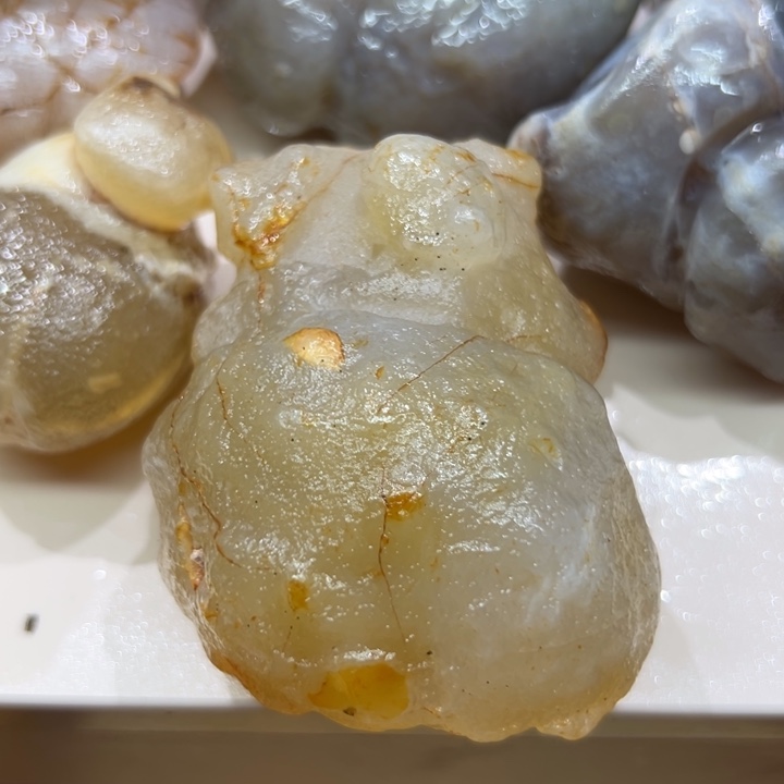 当前无花朵，栽培后可花朵摆件888