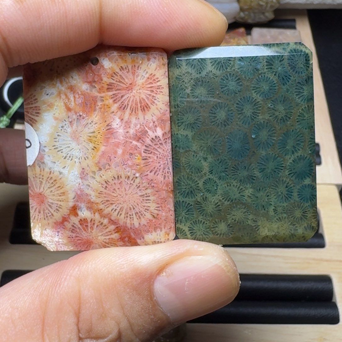 *****硅化玉纯天然色有机玉石保真色未镶嵌左300右500补差价